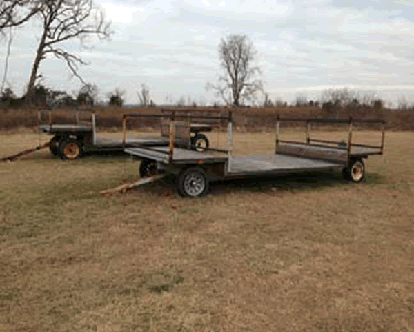 Pallet Wagons – Blueberries