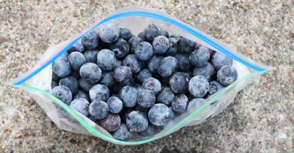 Reasons to Freeze Blueberries