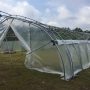 Seasonal High Tunnels – Ventilated