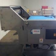 WECO BerryTek Color Sorter