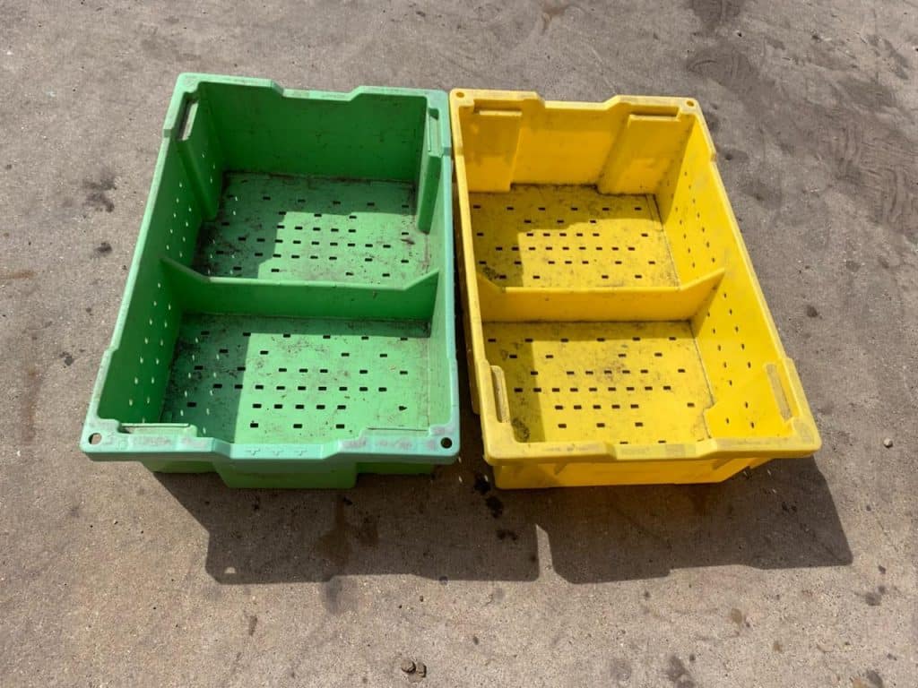 30lb Lugs with divider Used Ropak lugs Used Blueberry Equipment